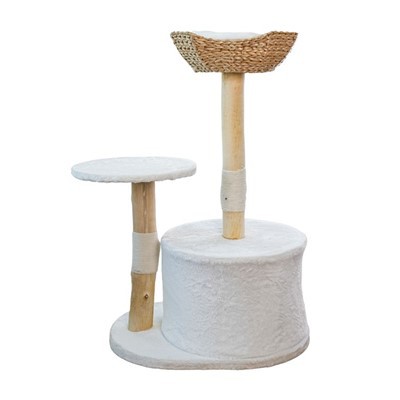 Casele din lemn pentru pisici de companie sunt mai bune decât cele din plastic?